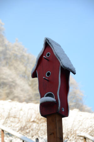 Vogelhaus im Harzer Winter