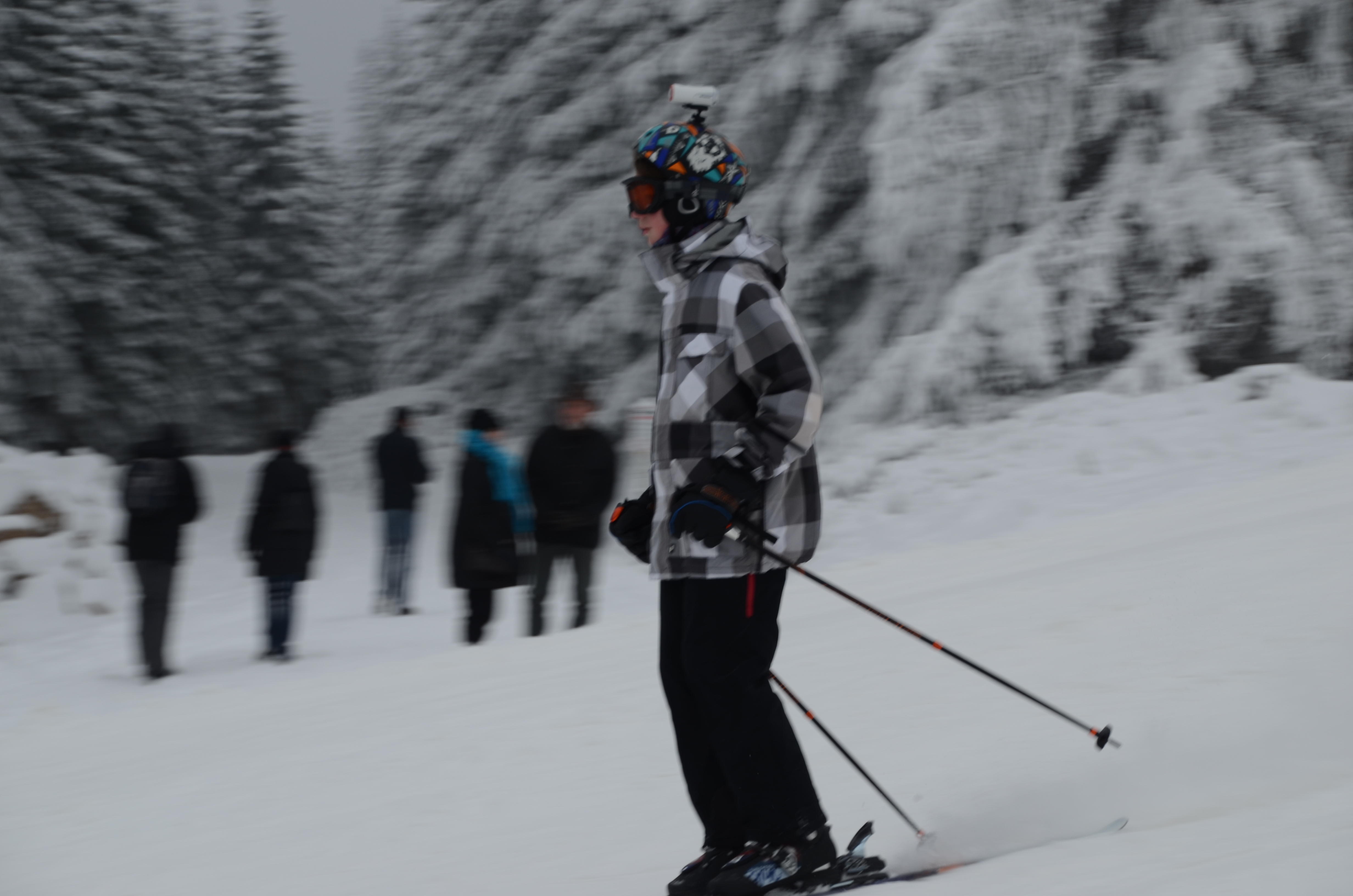 Harzer Skihang